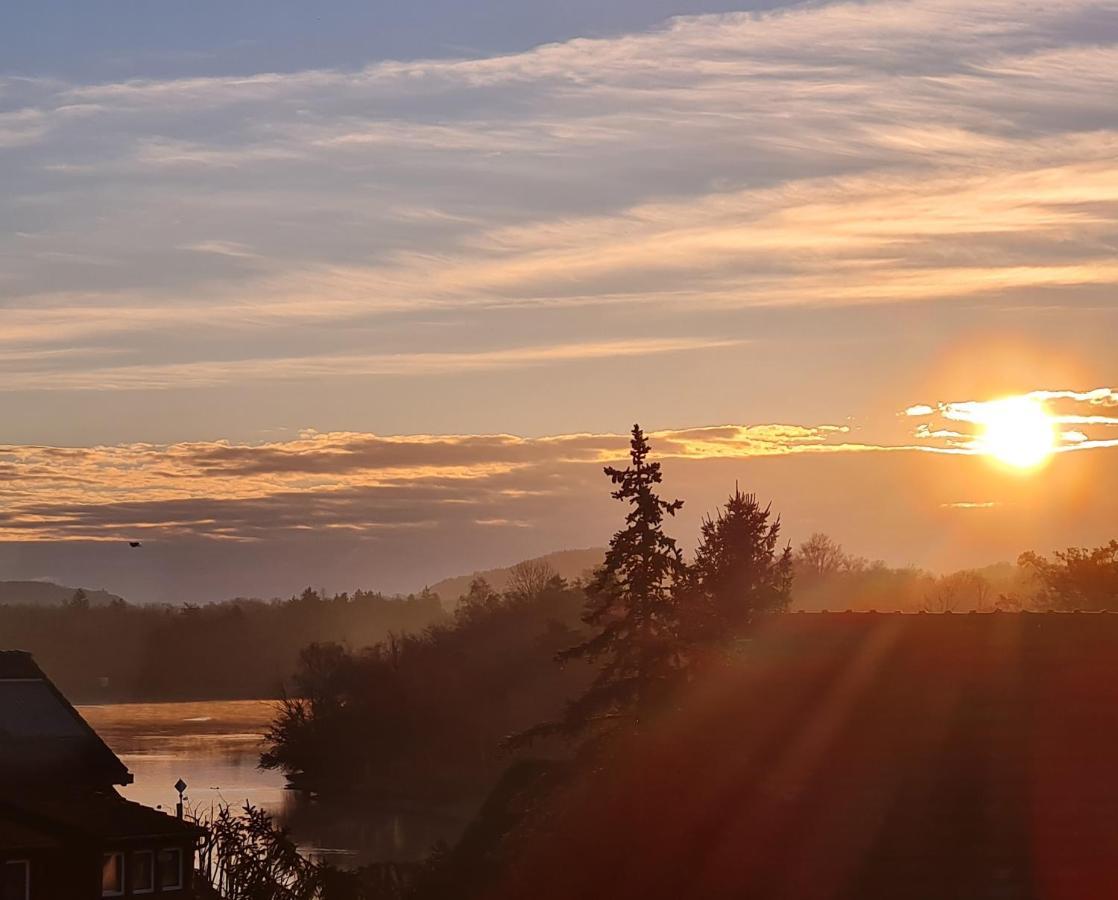 Ferienwohnung Rheinblick In Buesingen -Keine Monteure- Busingen エクステリア 写真