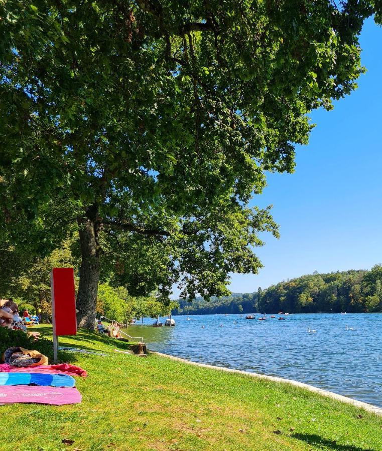Ferienwohnung Rheinblick In Buesingen -Keine Monteure- Busingen エクステリア 写真