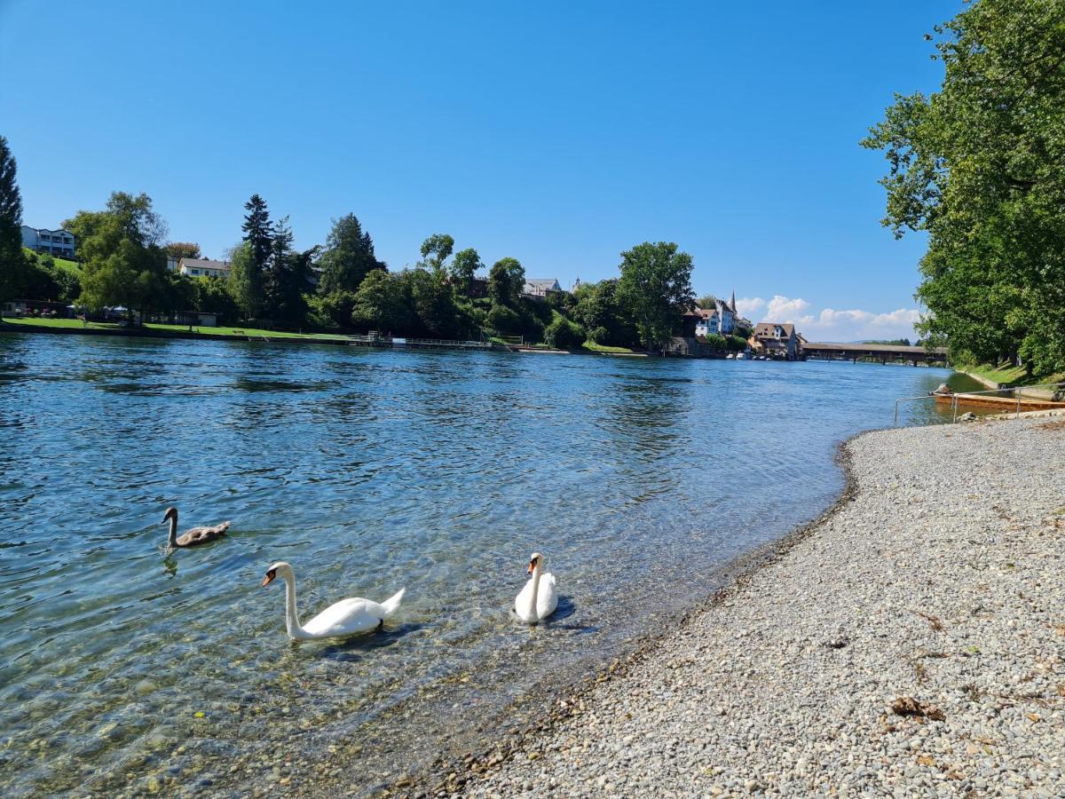 Ferienwohnung Rheinblick In Buesingen -Keine Monteure- Busingen エクステリア 写真