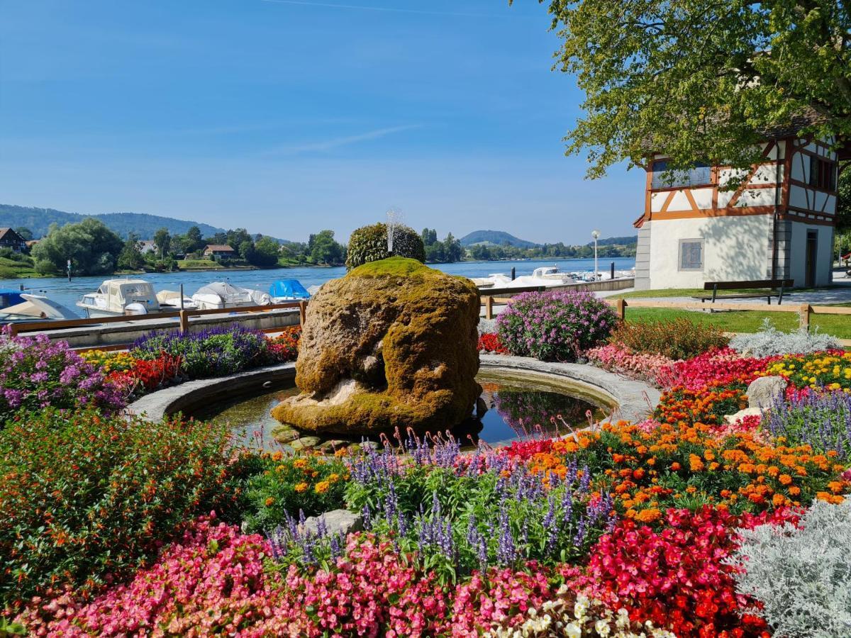 Ferienwohnung Rheinblick In Buesingen -Keine Monteure- Busingen エクステリア 写真