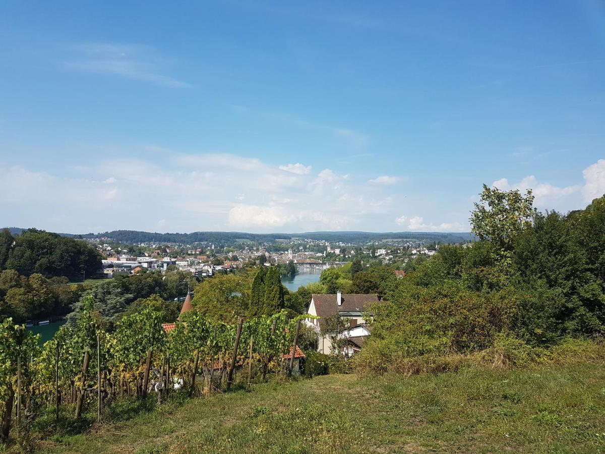 Ferienwohnung Rheinblick In Buesingen -Keine Monteure- Busingen エクステリア 写真