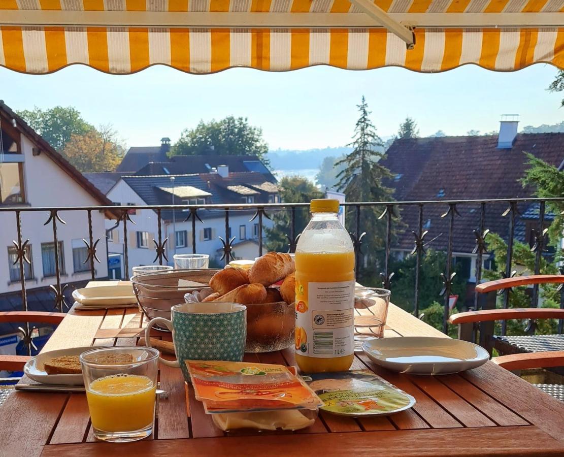 Ferienwohnung Rheinblick In Buesingen -Keine Monteure- Busingen エクステリア 写真
