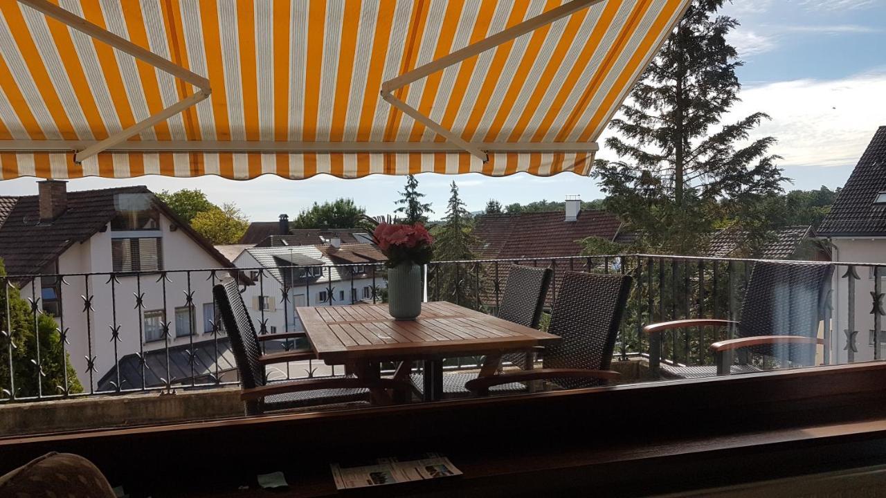Ferienwohnung Rheinblick In Buesingen -Keine Monteure- Busingen エクステリア 写真