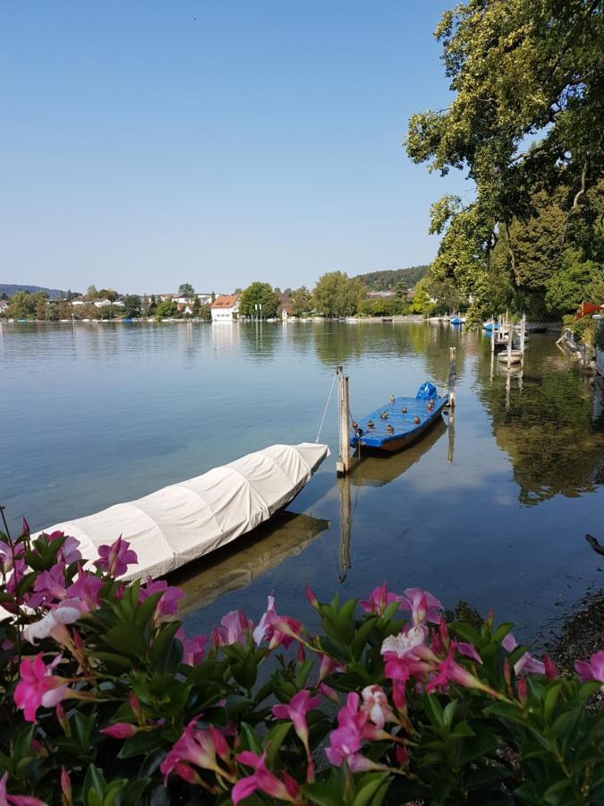 Ferienwohnung Rheinblick In Buesingen -Keine Monteure- Busingen エクステリア 写真