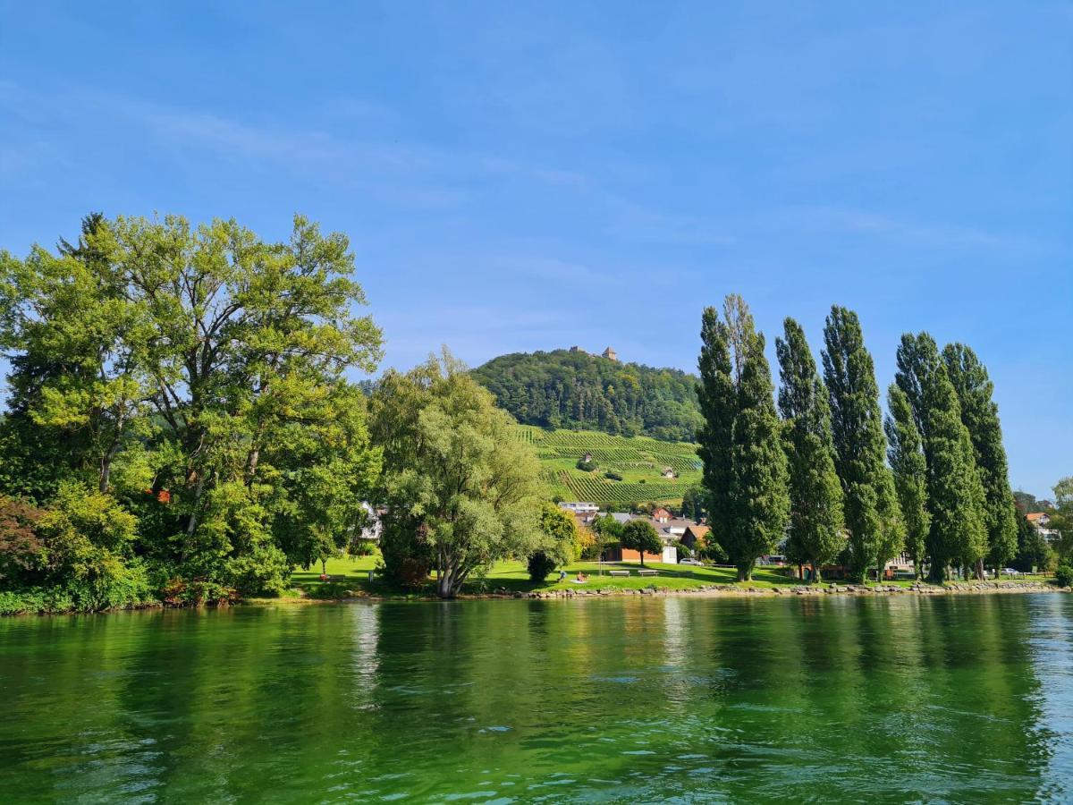 Ferienwohnung Rheinblick In Buesingen -Keine Monteure- Busingen エクステリア 写真
