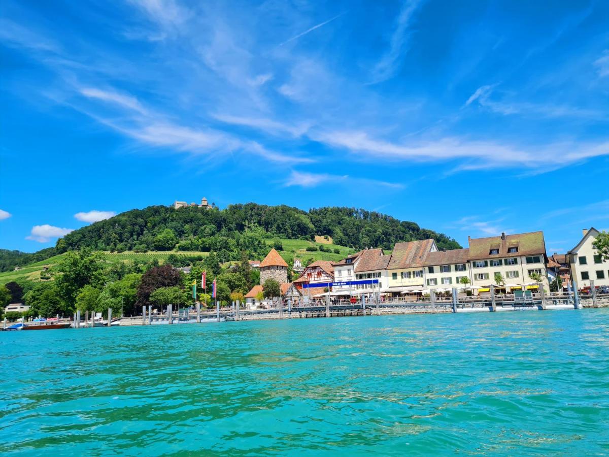Ferienwohnung Rheinblick In Buesingen -Keine Monteure- Busingen エクステリア 写真