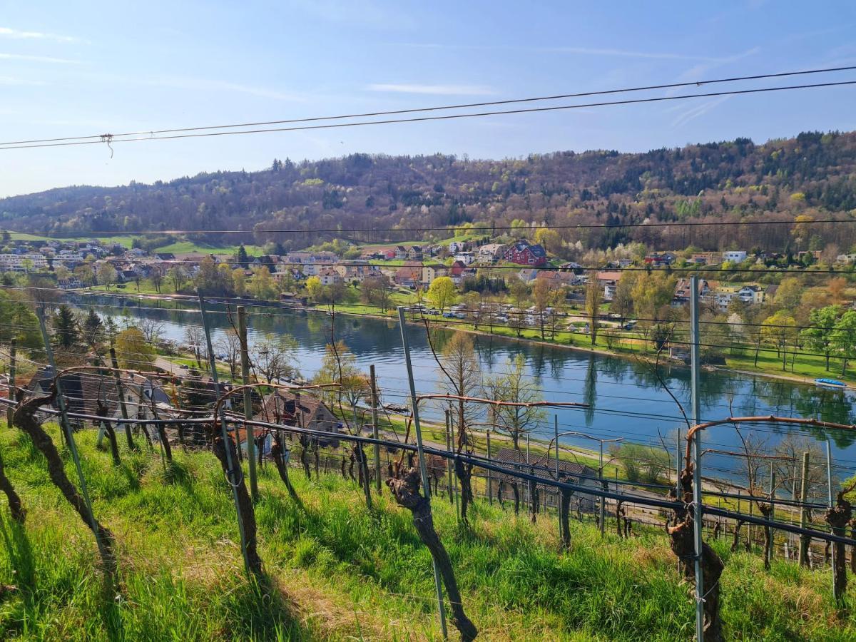 Ferienwohnung Rheinblick In Buesingen -Keine Monteure- Busingen エクステリア 写真