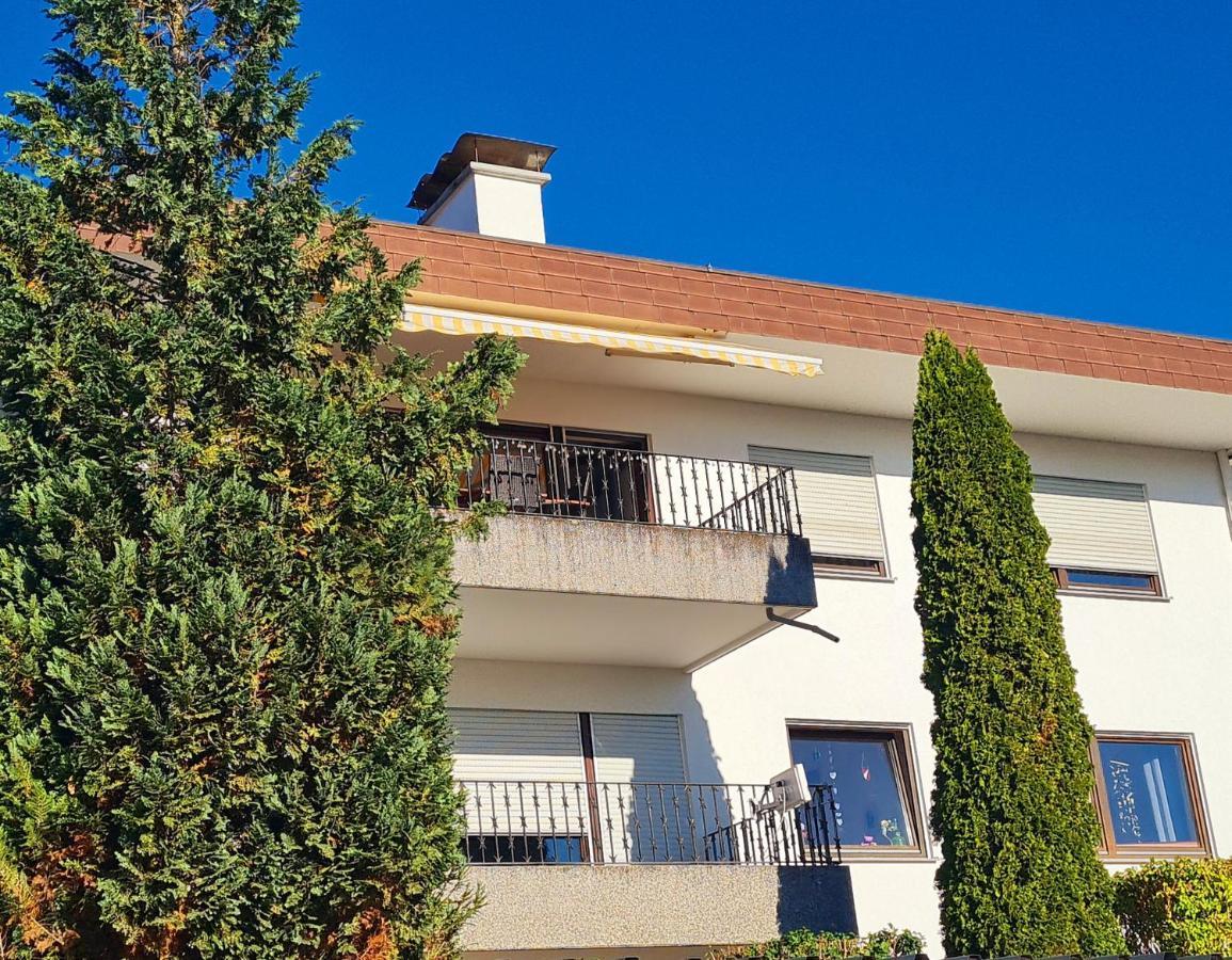 Ferienwohnung Rheinblick In Buesingen -Keine Monteure- Busingen エクステリア 写真