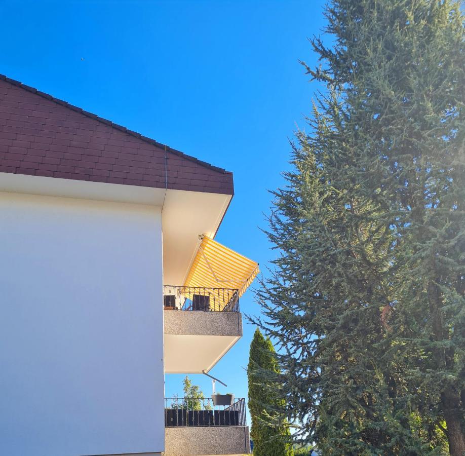 Ferienwohnung Rheinblick In Buesingen -Keine Monteure- Busingen エクステリア 写真