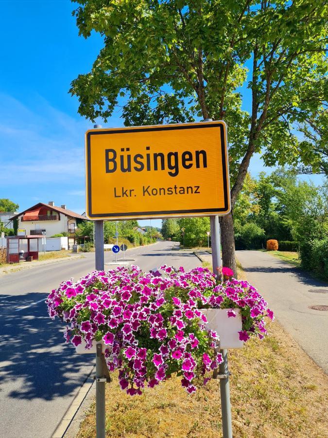Ferienwohnung Rheinblick In Buesingen -Keine Monteure- Busingen エクステリア 写真
