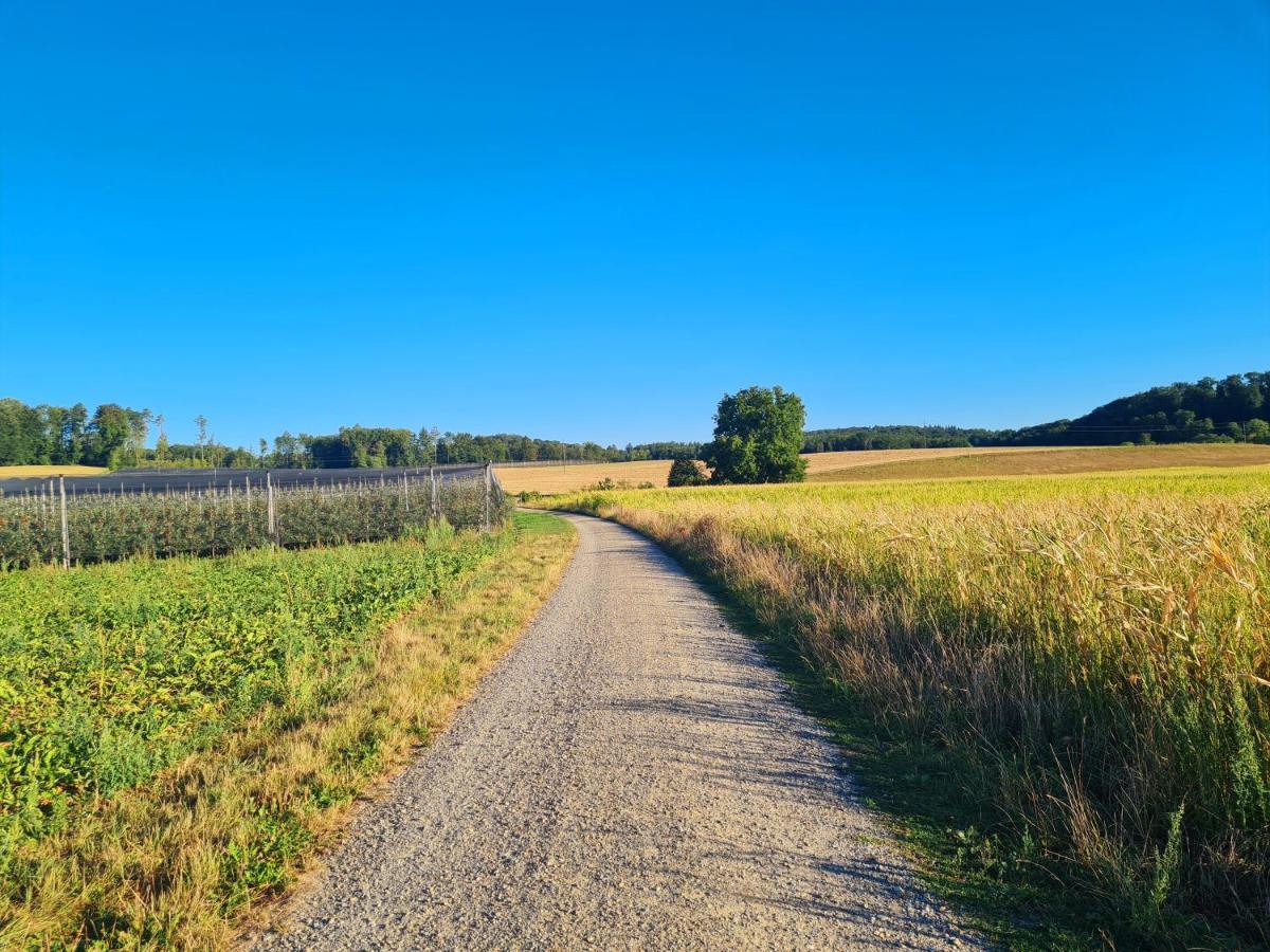 Ferienwohnung Rheinblick In Buesingen -Keine Monteure- Busingen エクステリア 写真